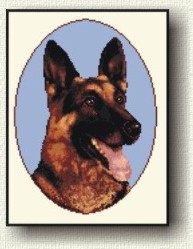 German Shepherd